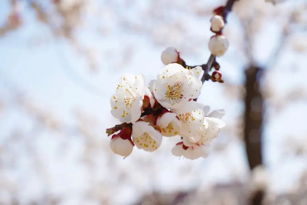 首页| 88858cc永利集团中国区官方网站